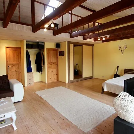 Dream Stay - Luminous Apartment With High Ceilings 塔林